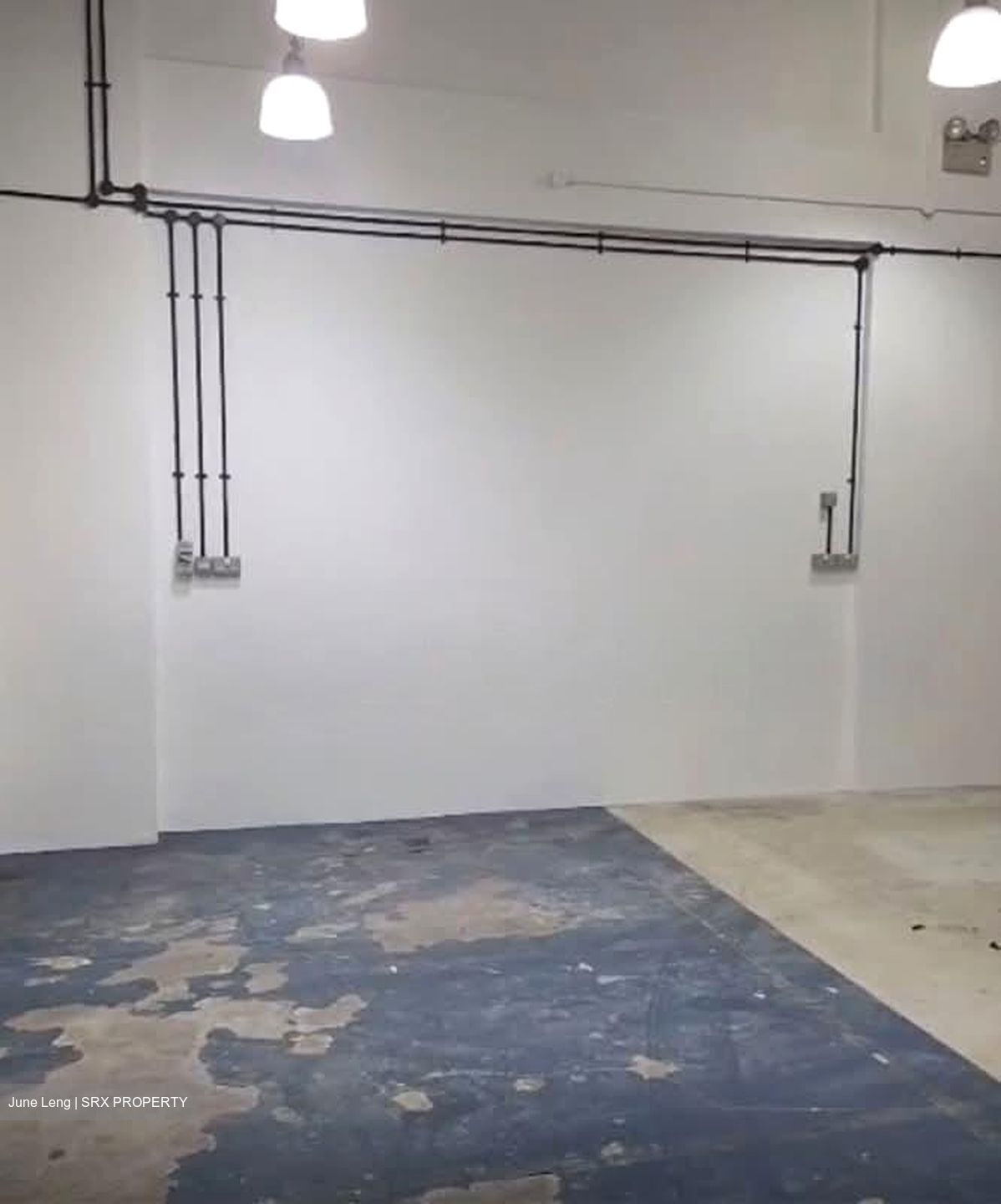 Bartley Biz Centre (D14), Factory #556240201
